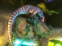 点击看大图 -恐龙探索乐园(磁器口店)