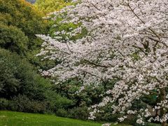 -中国茶叶博物馆(双峰馆区)