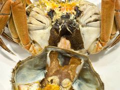 -百盛·鼎膳(中海财富中心)
