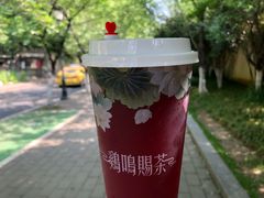 -鸡鸣赐茶(鸡鸣寺路店)