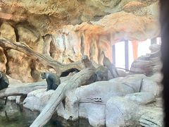 -北京野生动物园