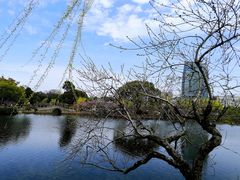 -无锡蠡湖国家湿地公园-蠡园