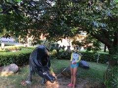 -庐山天沐温泉度假村