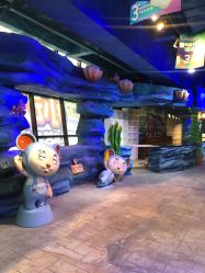 -酷嗒动物文化乐园(cutezoo西溪乐天城店)