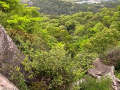 -青芝山风景名胜区