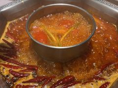 -蜀九香火锅(九眼桥店)