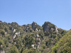 -王顺山国家森林公园