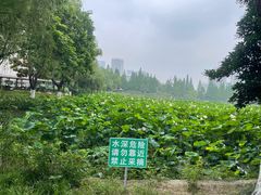 -楚秀园