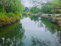 -上海滨江森林公园