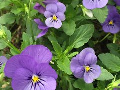 -南通洲际绿博园