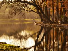 -上海共青森林公园