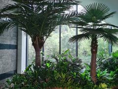 -上海虹桥西郊假日酒店