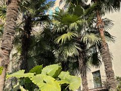 -徐家汇源景区-衡山公园