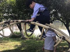 -荷塘月色湿地公园·向阳花洲