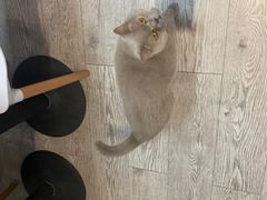 -小时光咖啡馆(北锣鼓巷店)
