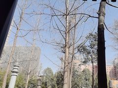 -西安大兴善寺