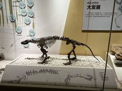 -国家自然博物馆