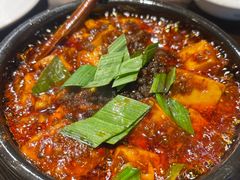 -陈麻婆豆腐(旗舰店)