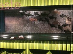 -炉鱼(萧山万象汇店)
