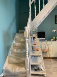 -YOUNGSKIN氧研皮肤管理中心