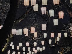 -浙江省杭州高级中学(贡院校区)