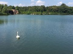 景点-沈阳植物园