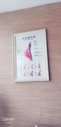 -成都伊贝丝美容美胸SPA会所