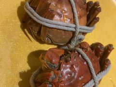 -一绪に寿喜烧(虹悦城店)
