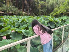 -三圣花乡旅游区