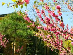-大芦花风景区