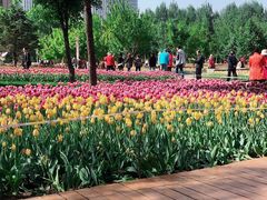 -长春公园(普阳街道)