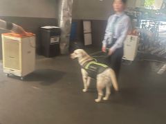 -东莱馋房(陆家嘴店)