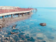 -养马岛旅游度假区