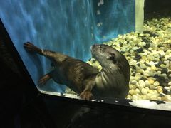 -成都浩海立方海洋公园