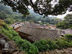 -杨家堂村