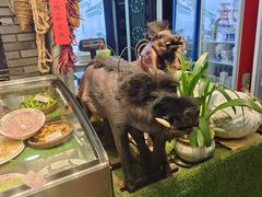 -怀化名堂(正清路店)