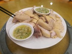 -鸿达渔港