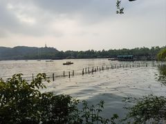 -湖畔居茶楼(湖滨店)