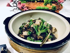 养生羊肚菌-橘洲1925湖湘餐厅