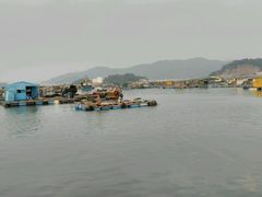 -海上驿站渔家菜馆