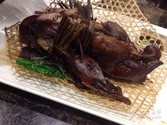 -小龙酒家(桂平路店)