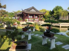 -泰州凤城河风景区-泰山公园