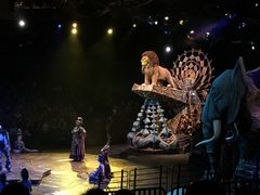 -翠华餐厅(旺角文华商场店)