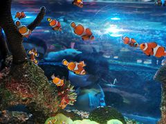 -沈阳海洋探索中心