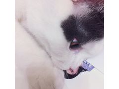 -壹人壹像工作室(购物公园店)