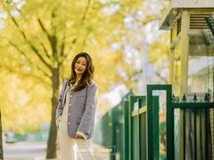 -三里屯东五街银杏大道