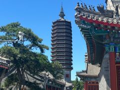 -西海子公园