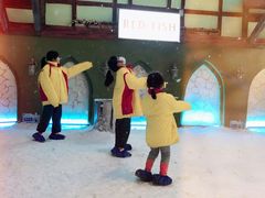 -世界之窗阿尔卑斯冰雪世界