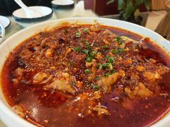 -金彤川菜(西稍门店)