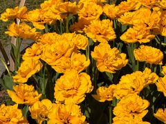 -玄武湖景区-情侣园游乐场